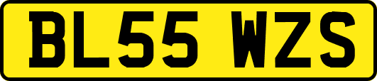 BL55WZS