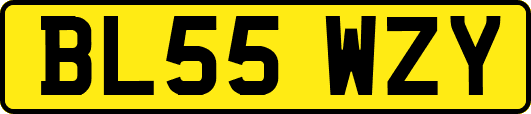 BL55WZY