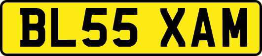 BL55XAM