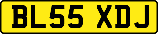 BL55XDJ