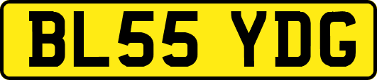 BL55YDG
