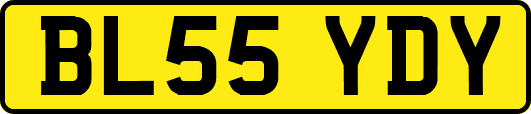 BL55YDY