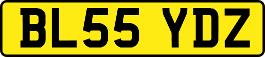 BL55YDZ