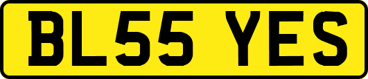 BL55YES