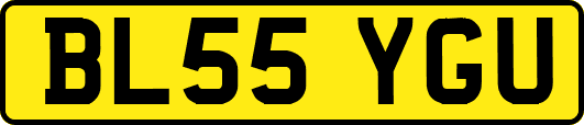 BL55YGU