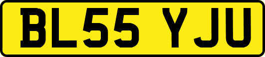 BL55YJU