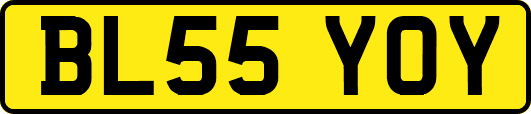 BL55YOY