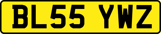BL55YWZ