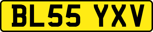 BL55YXV