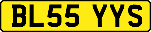 BL55YYS