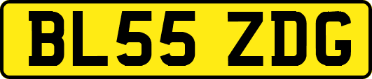 BL55ZDG