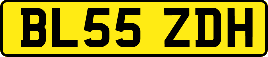 BL55ZDH
