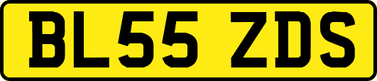 BL55ZDS