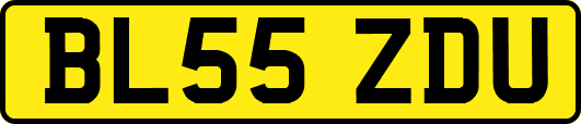 BL55ZDU