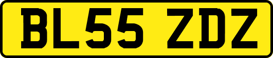 BL55ZDZ