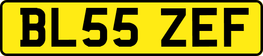 BL55ZEF