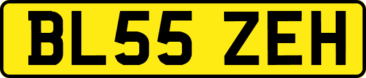 BL55ZEH