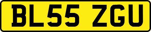 BL55ZGU