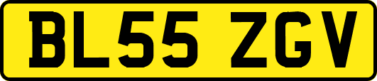 BL55ZGV