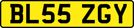 BL55ZGY