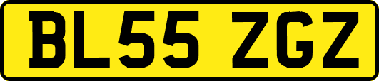 BL55ZGZ