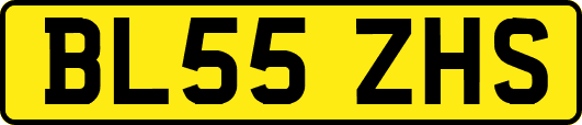 BL55ZHS