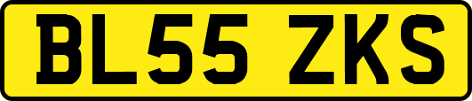 BL55ZKS