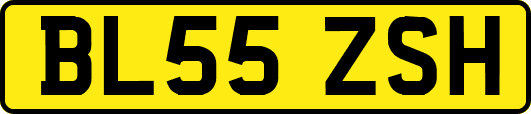 BL55ZSH