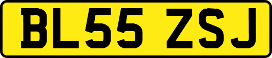 BL55ZSJ
