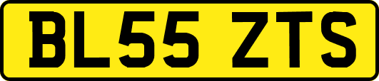 BL55ZTS
