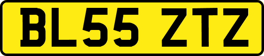 BL55ZTZ