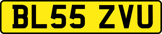 BL55ZVU
