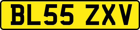 BL55ZXV