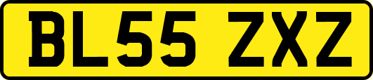 BL55ZXZ