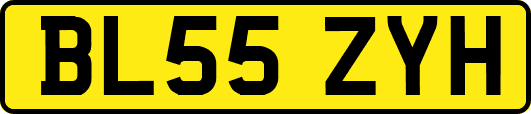 BL55ZYH