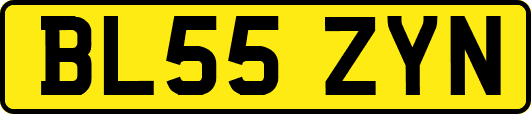 BL55ZYN