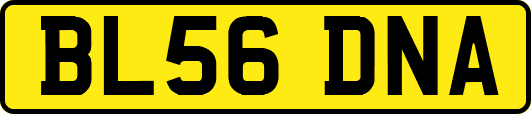 BL56DNA