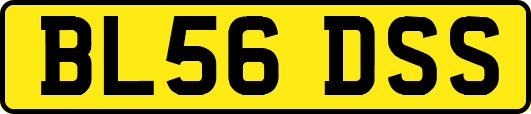 BL56DSS