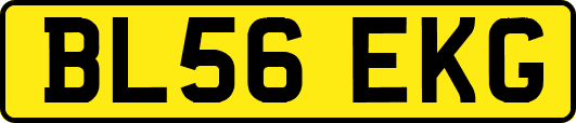 BL56EKG