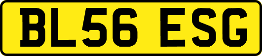 BL56ESG