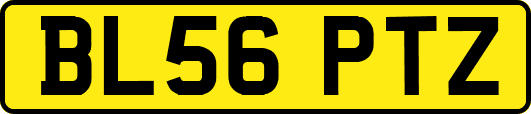 BL56PTZ