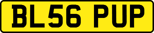 BL56PUP