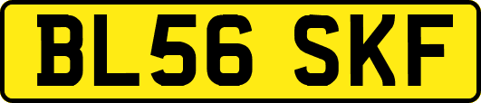 BL56SKF