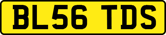 BL56TDS