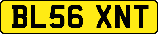 BL56XNT