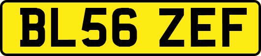 BL56ZEF