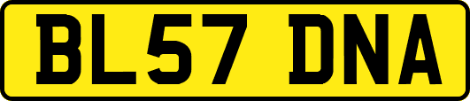 BL57DNA
