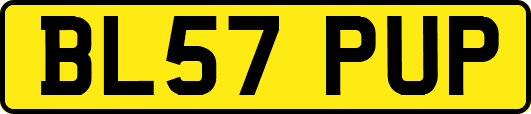BL57PUP
