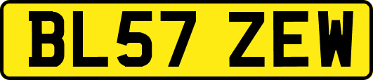BL57ZEW