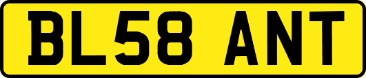 BL58ANT